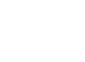 EvolLogo